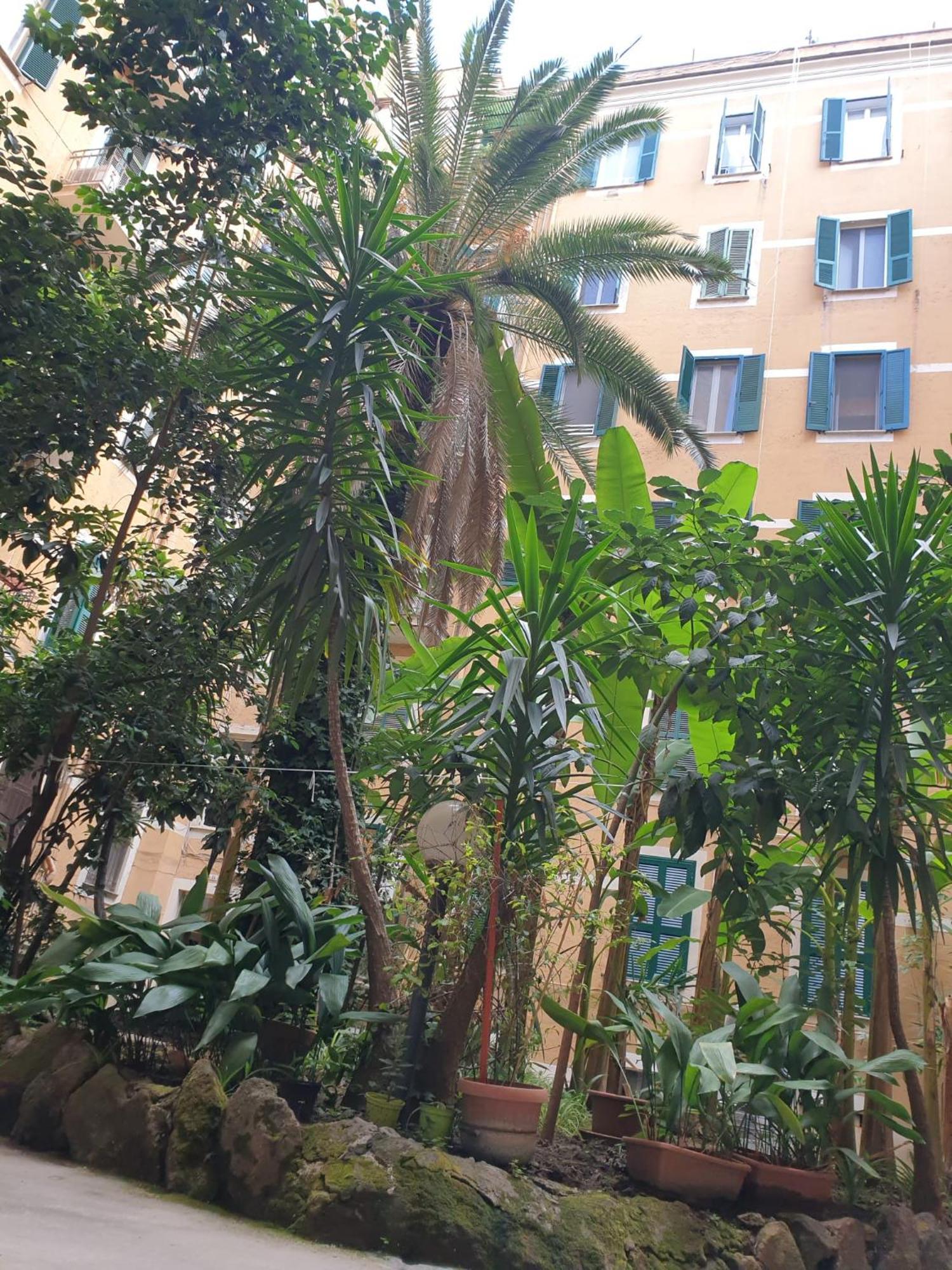 Near To Colosseum Re-house Apartamento Roma