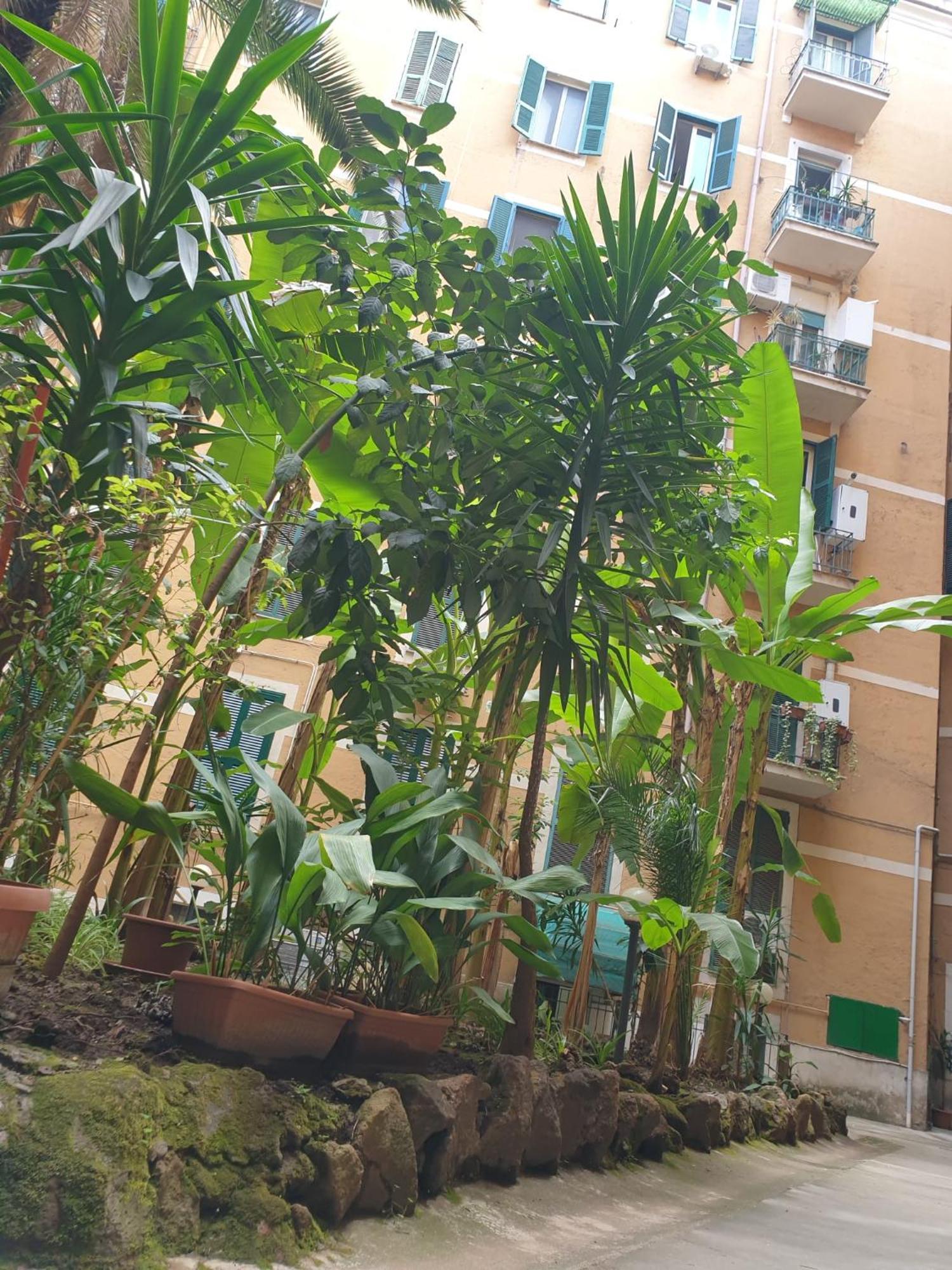 Apartamento Near To Colosseum Re-house Roma
