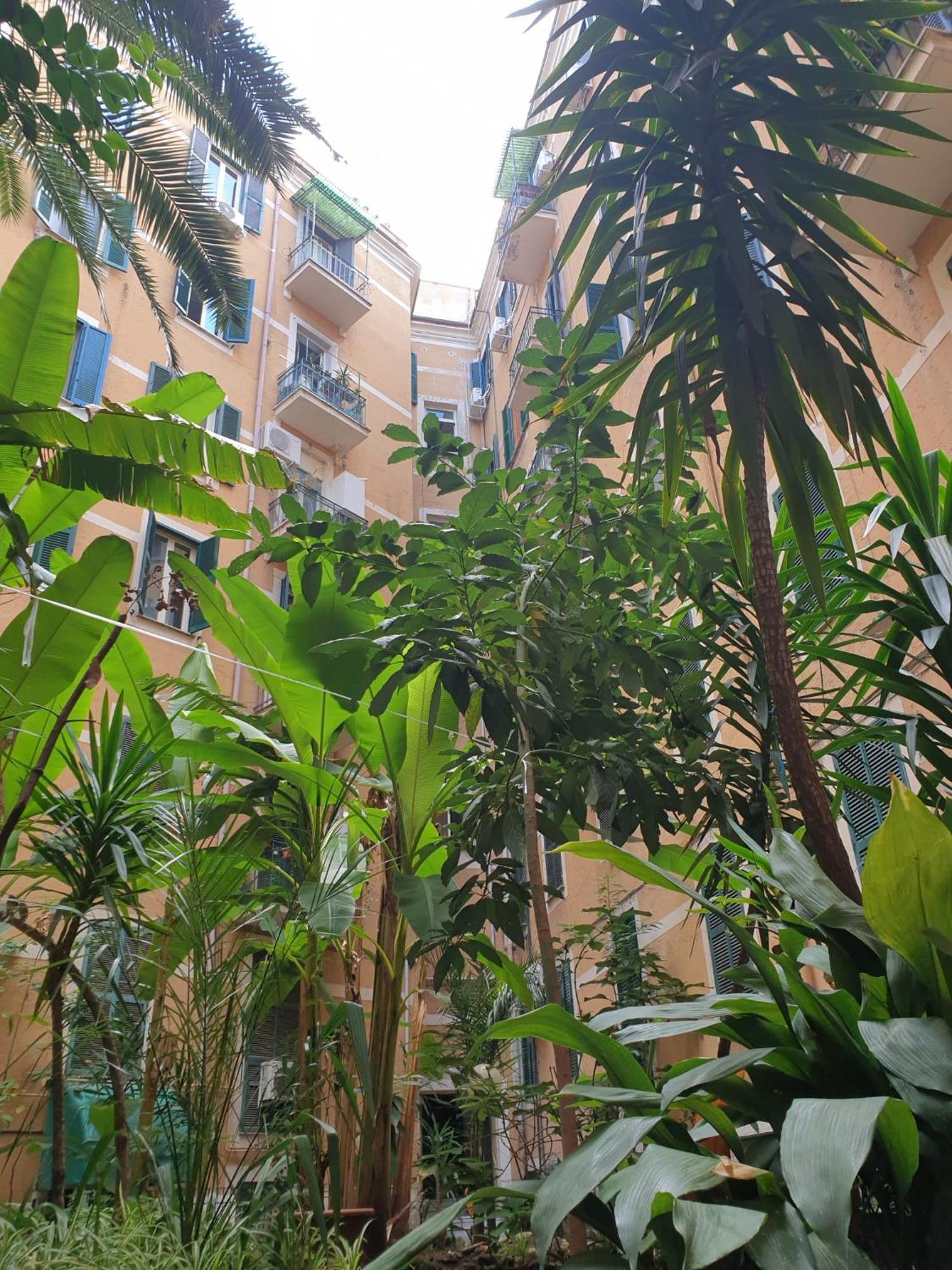 Near To Colosseum Re-house Apartamento Roma